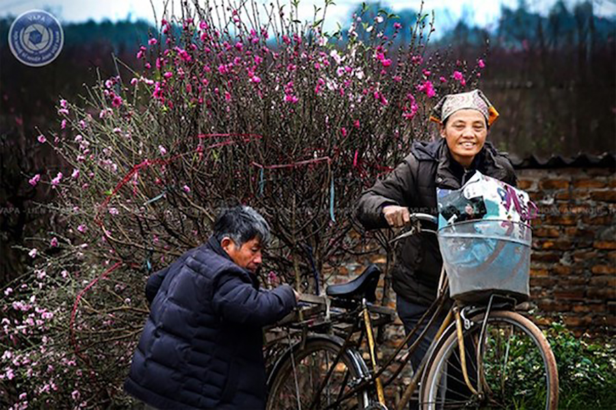 Festivals der Kunstfotos in Hanoi