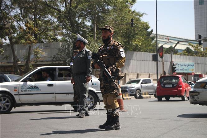 Afghanistan: Taliban wollen Armee aufbauen