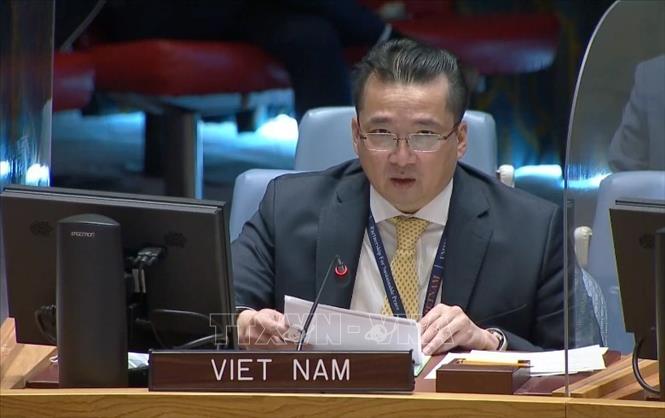 Vietnam unterstützt politische Förderung für Wahlen in Libyen