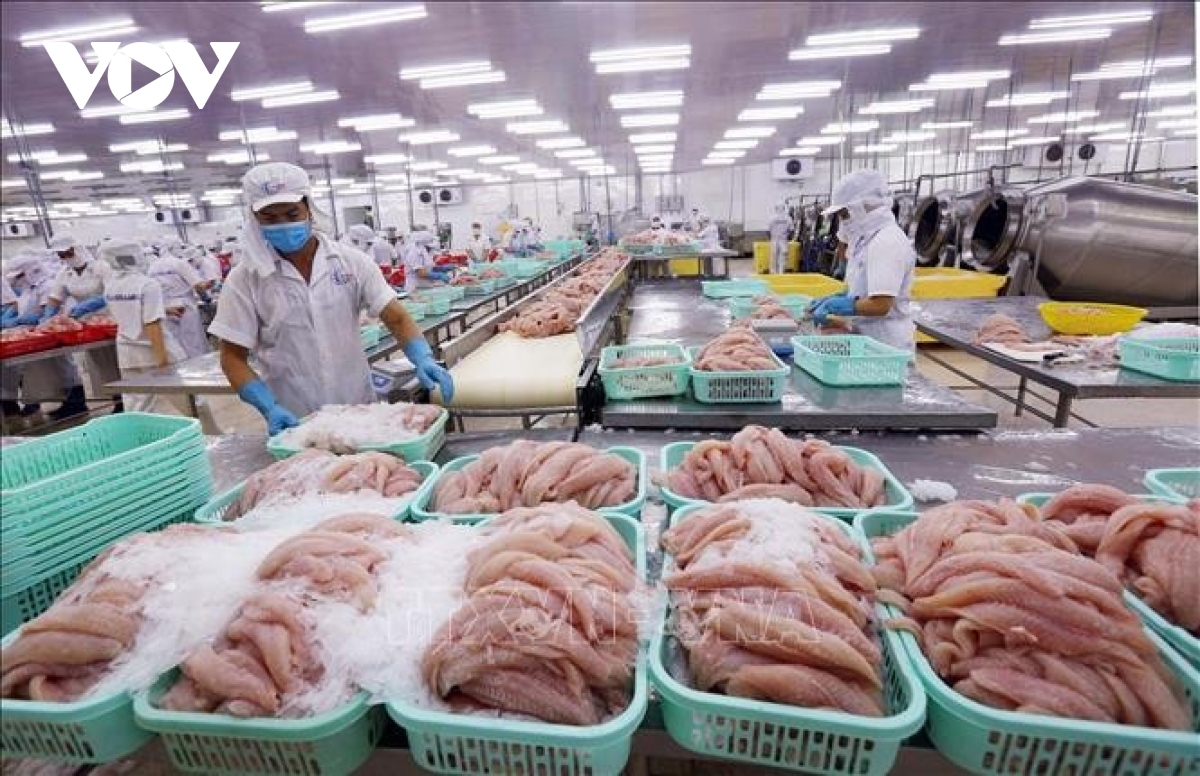 Zusätzlich sechs Betriebe zur Verarbeitung von Pangasius in Vietnam dürfen in die USA exportieren