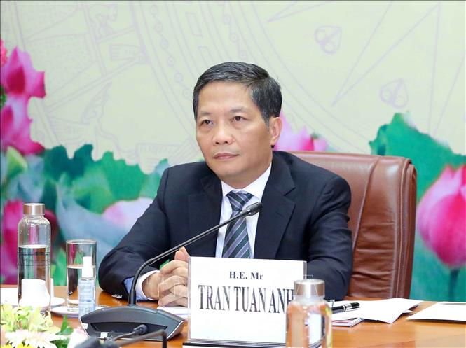Leiter des Wirtschaftskomitees der Partei Tran Tuan Anh besucht Belgien