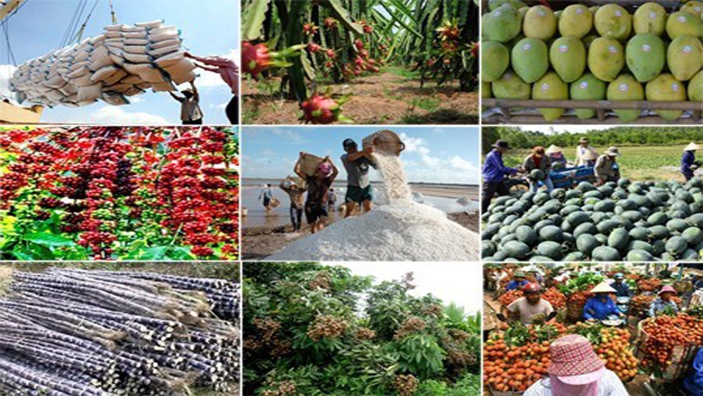Rekorde beim Export von Obst und Gemüse