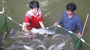 ทบวงสถิติประกาศข้อมูลด้านเศรษฐกิจ-สังคมปี 2011