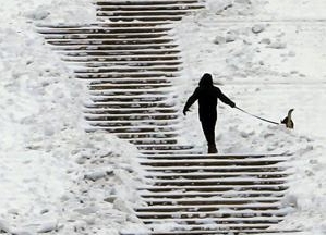 สภาพอากาศที่หนาวเย็นในยุโรปส่งผลให้มีผู้เสียชีวิต 222 คน