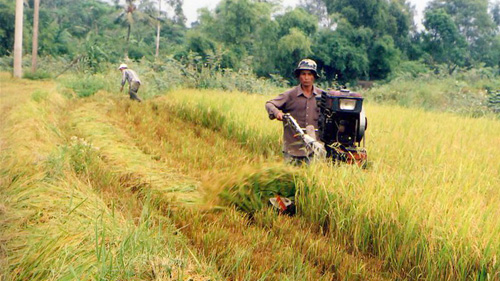 อัตราจีดีพีของเวียดนามในปี 2012 บรรลุประมาณร้อยละ 5.7