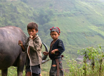 จัดตั้งคณะกรรมการชี้นำส่วนกลางเกี่ยวกับการแก้ปัญหาความยากจนอย่างยั่งยืน