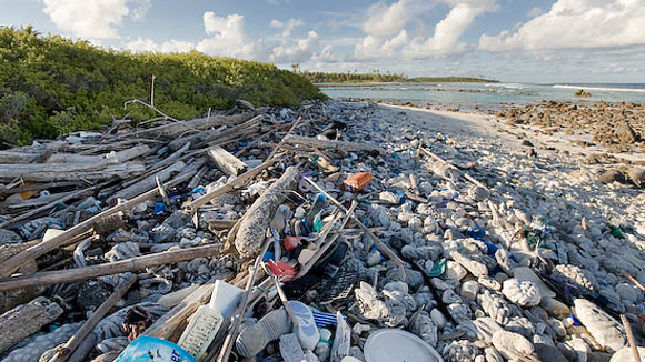 องค์กร NGO  เรียกร้องให้ RIO20 พยายามเร่งปกป้องมหาสมุทร