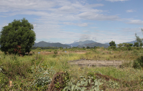 สื่อต่างประเทศให้ความสนใจต่อการที่สหรัฐทำการล้างสารพิษสีส้มไดอ๊อกซินในเวียดนาม