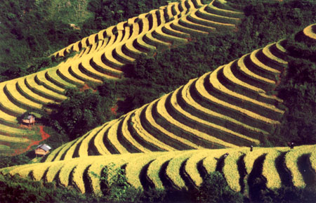 สัปดาห์วัฒนธรรม การกีฬา การท่องเที่ยว ทุ่งนาขั้นบันได สถานที่ท่องเที่ยวแห่งชาติ