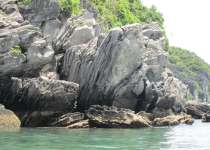 เสนอยูเนสโกรับรองหมู่เกาะ CátBà-LongChâu เป็นมรดกทางธรรมาชาติของโลก