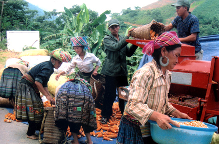การแลกเปลี่ยนรูปแบบการระดมสตรีดีเด่น
