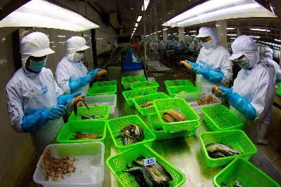 การส่งออกของเวียดนามไปยังเม็กซิโกเพิ่มขึ้นอย่างรวดเร็ว