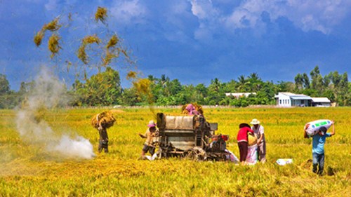 ประสิทธิภาพด้านเศรษฐกิจจากทุ่งนาขนาดใหญ่ในเขตเขาของจังหวัดเอียนบ๊าย