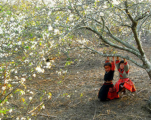 เพลง “Chiều biên giới”