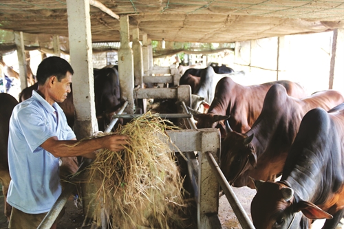 เป็นฝ่ายรุก มีความคิดสร้างสรรค์และระดมแหล่งพลังมากขึ้นเพื่อแก้ปัญหาความยากจนอย่างยั่งยืน