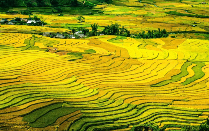 หมู่กางจ๋าย ได้รับการโหวตให้เป็นสถานที่ท่องเที่ยวที่หลากหลายสีสันที่สุดในโลก