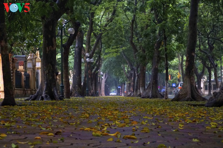 ทัศนียภาพที่เงียบสงบของฮานอยในช่วงเว้นระยะห่างทางสังคม