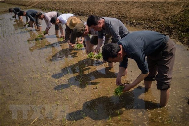 ผู้รายงานพิเศษของสหประชาชาติเร่งรัดให้พิจารณาคำสั่งคว่ำบาตรสาธารณรัฐประชาธิปไตยประชาชนเกาหลีอีกครั้ง