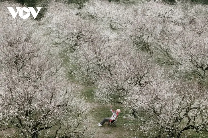 สีสันแห่งดอกไม้ฤดูหนาวที่ราบสูงหมกโจว