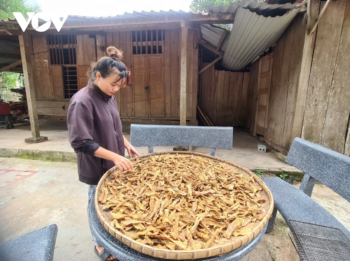 การค้าช่วยพัฒนาเศรษฐกิจในเขตเขา