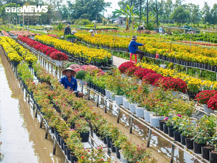 เมืองดอกไม้แห่งใหญ่ที่สุดในเขตที่ราบลุ่มแม่น้ำโขงเบ่งบานต้อนรับฤดูใบไม้ผลิ