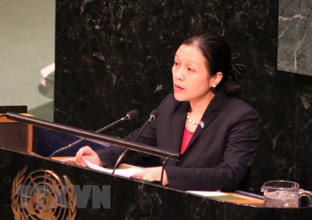 베트남, 국제 Vesak축제의 신성한 의미 공유