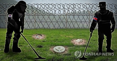 조선, 한국 비무장 지역 지뢰 제거 시작