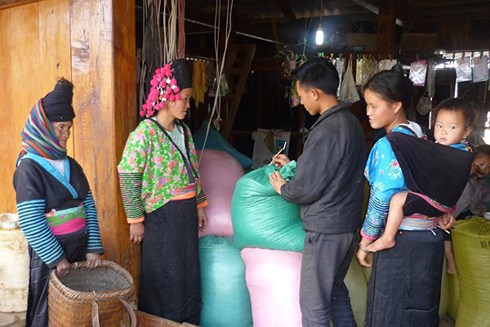 베트남, 빈곤퇴치 부문 많은 진보
