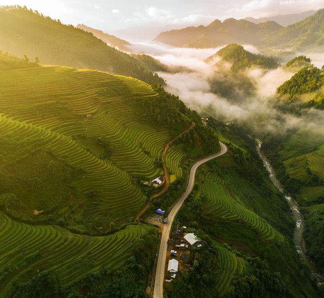베트남 사진작가 응우옌 옥 티엔 (Nguyễn Ngọc Thiện)의 작품, National Geographic에  최고 사진 명단에 선정