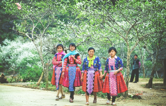 Le Têt des Mong