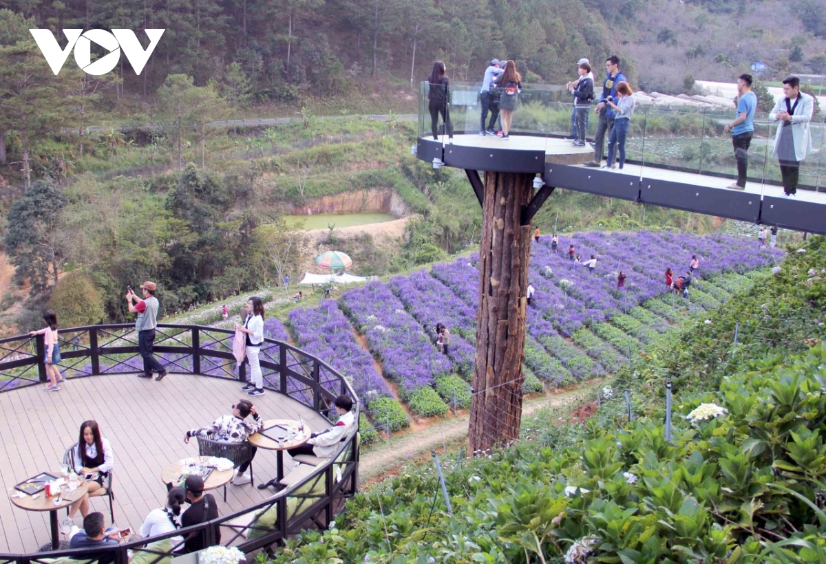 L’agrotourisme à Lâm Dông