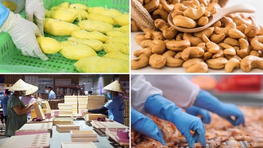 Le Vietnam mise sur la diversification pour atteindre 12% de croissance des exportations