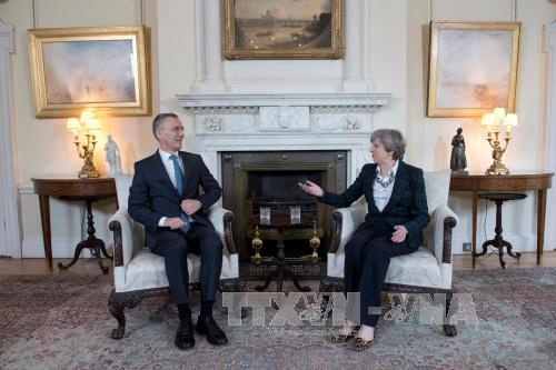 НАТО призвала страны-члены усилить борьбу с терроризмом