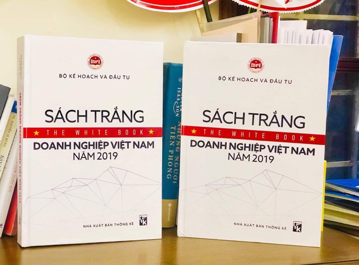 В свет впервые выпущена Белая книга о вьетнамском бизнесе 2019 года