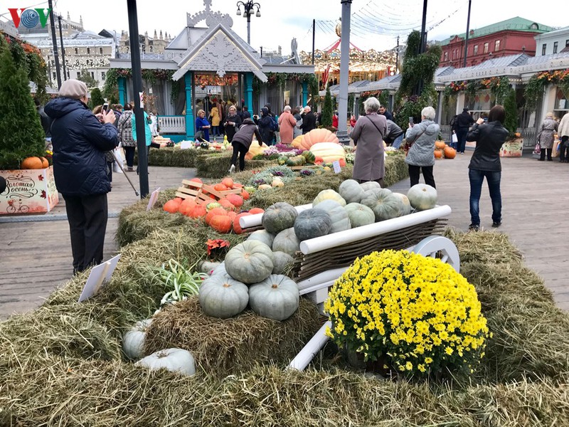 Гастрономический фестиваль «Золотая осень» открылся в Москве