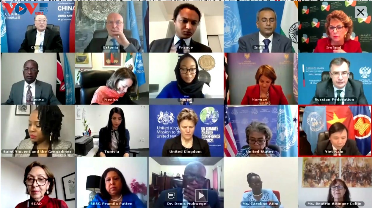 Вьетнам содействует Совбезу ООН в решении проблемы сексуального насилия во время вооружённых конфликтов