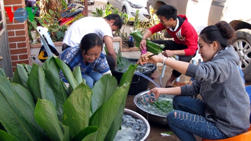 Вьетнамские эмигранты за рубежом встречают традиционный новый год