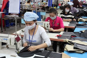 Сотрудничество между Вьетнамом и МОТ по обеспечению устойчивой занятости