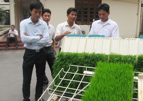 Повышение качества профобучения для сельских тружеников