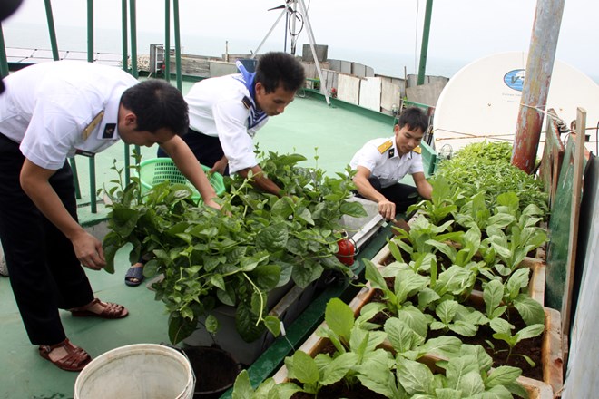Общество Красного Креста Вьетнама передало подарки пограничникам и населению на островах Чыонгша