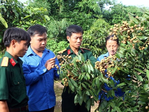Во Вьетнаме прошла беседа по проекту подбора 500 молодых интеллигентов-добровольцев