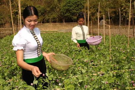 Ликвидация голода и бедности – основные достижения Вьетнама в области прав человека