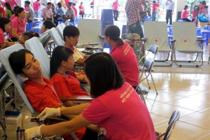 Во Вьетнаме чествованы лучшие доноры крови