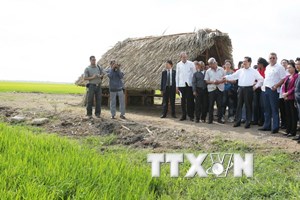 Вьетнам и Куба договорились активизировать взаимодействие в сферах экономики и торговли