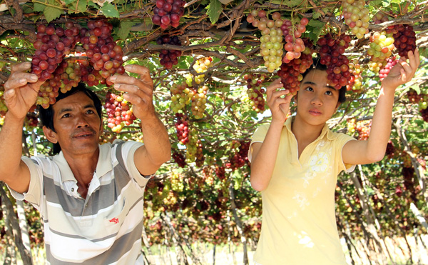 Активизируется применение научного прогресса в сельском хозяйстве