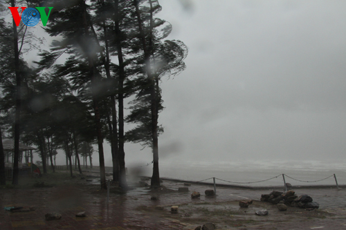 Провинция Куангнинь хорошо подготовилась к борьбе с тайфуном «Раммасун»