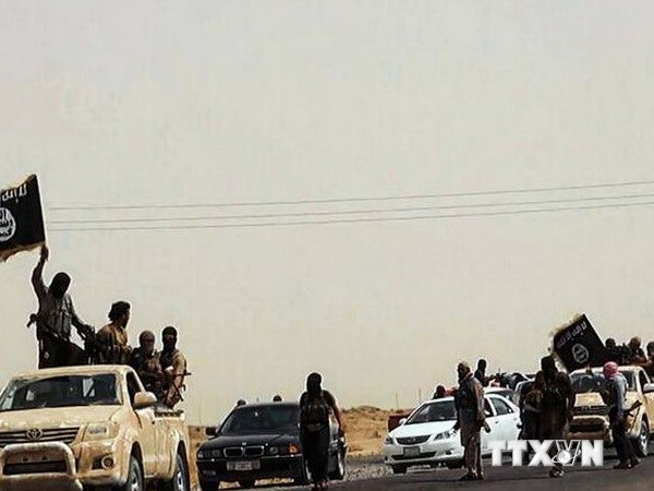 СБ ООН продлил миссию в Ираке и на Кипре