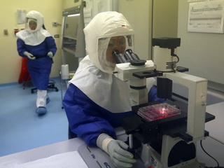 ВОЗ разрешила использовать экспериментальную сыворотку против вируса Эбола