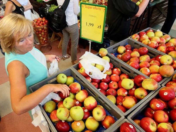 ЕК оценила в 5 млрд евро объем экспорта сельхозпродуктов, попавших под эмбарго РФ