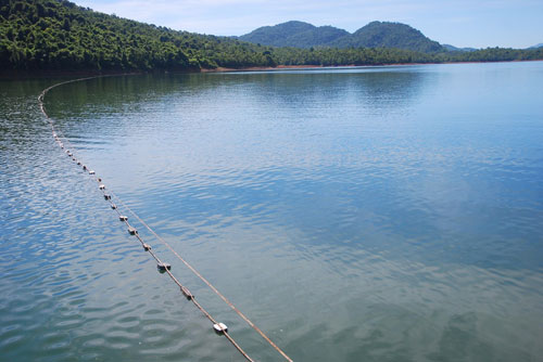 Австралийская туркомпания Aqua Expeditions использует туристический потенциал Вьетнама